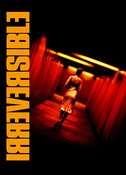 永久免费看日本大片-不可撤销.Irreversible.2002.FR.BluRay.1920x856p.x264.AC3-KOOK.[中英双字]